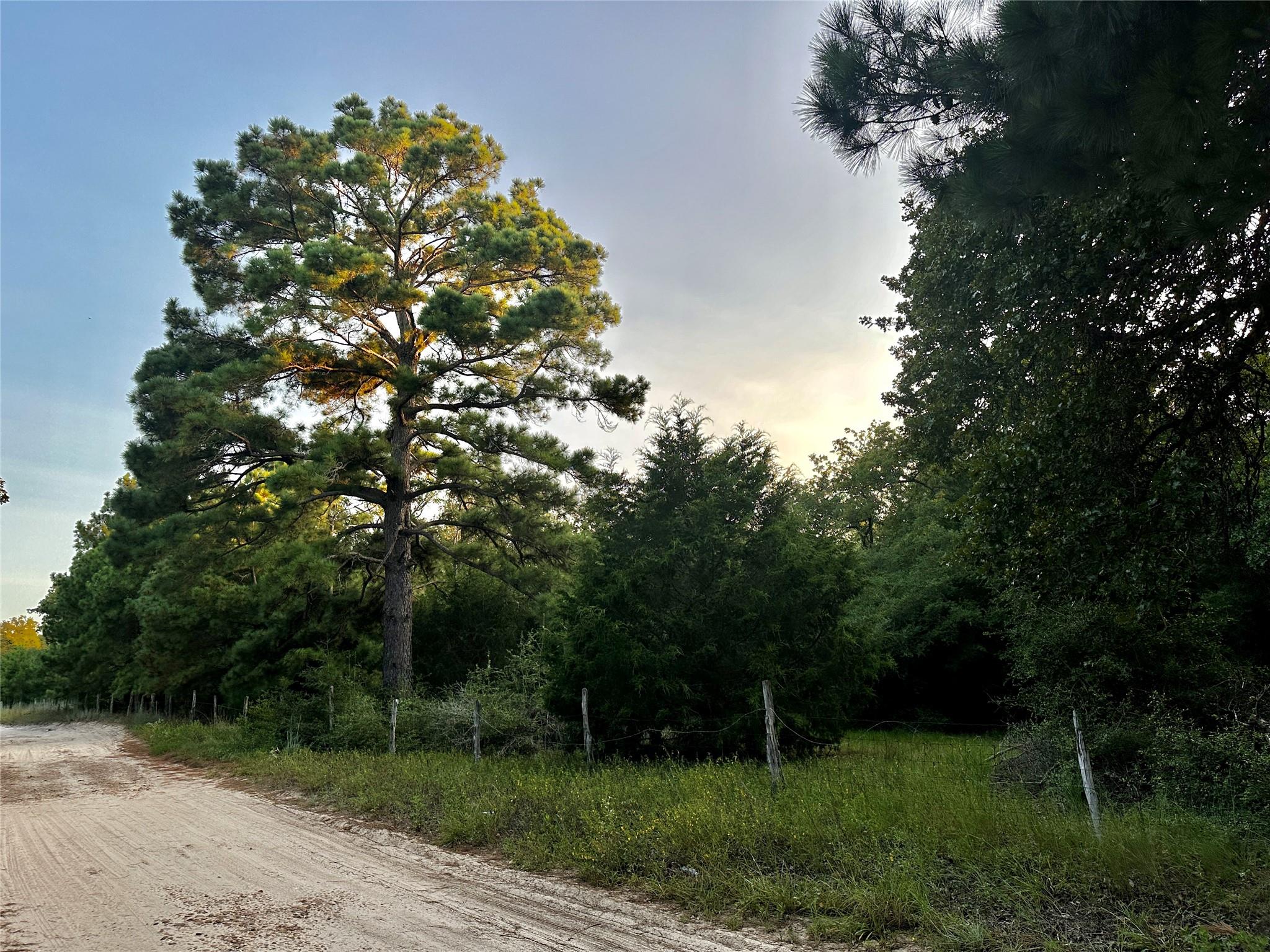 Tbd Private Road 4361 Dime Box TX 77853