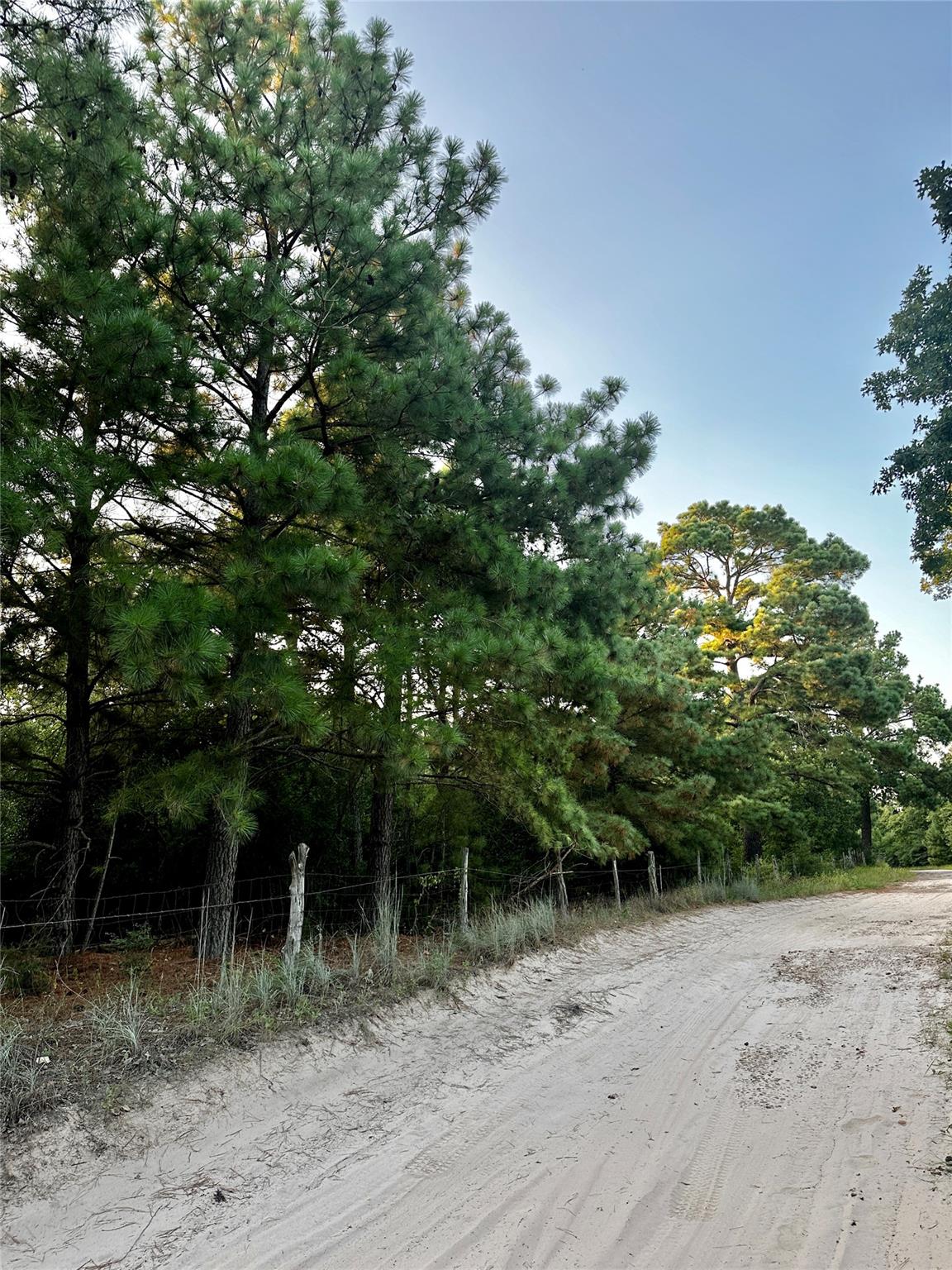 Tbd Private Road 4361 Dime Box TX 77853