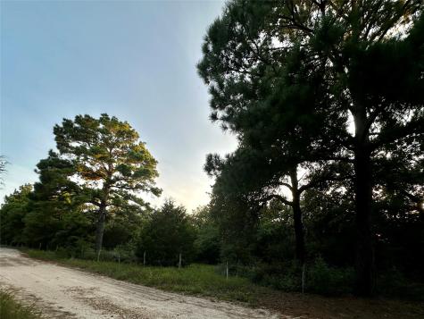 Tbd Private Road 4361 Dime Box TX 77853