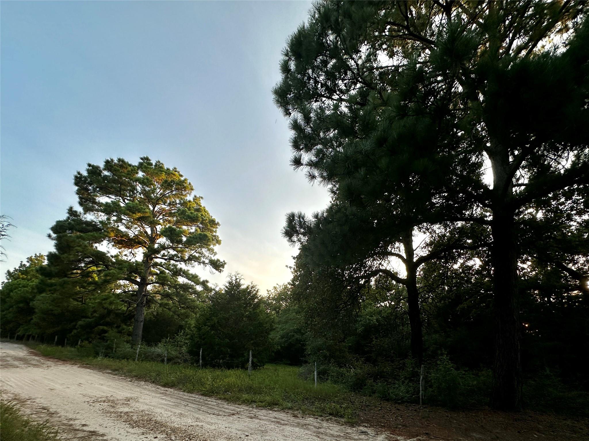Tbd Private Road 4361 Dime Box TX 77853