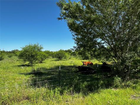 Tbd Scott Street Kyle TX 78640