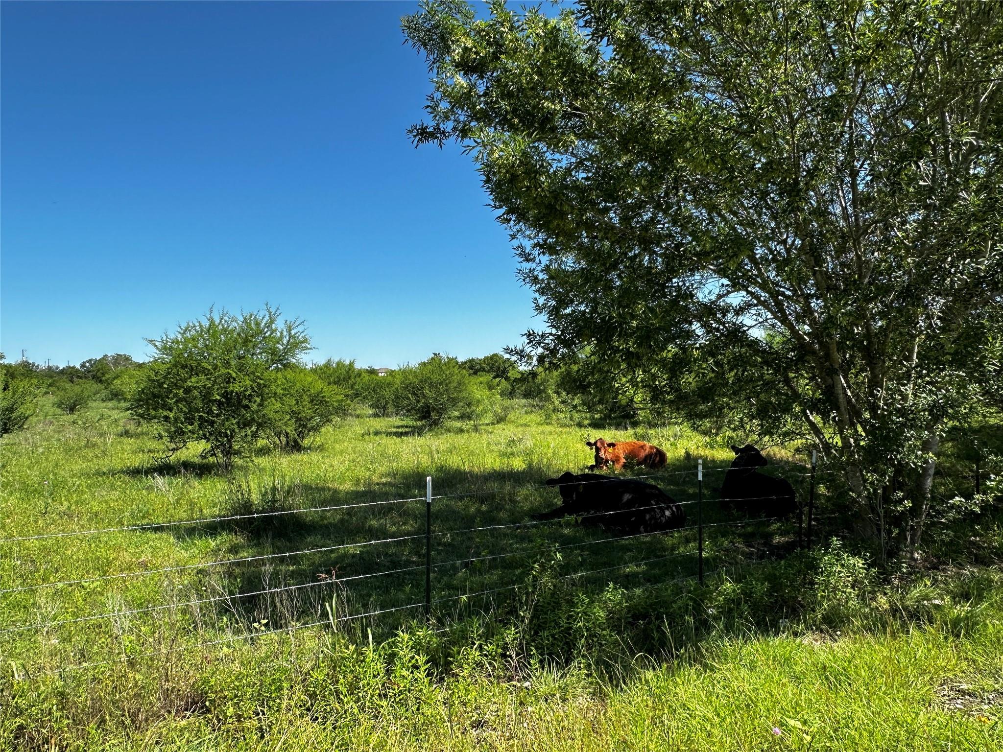 Tbd Scott Street Kyle TX 78640