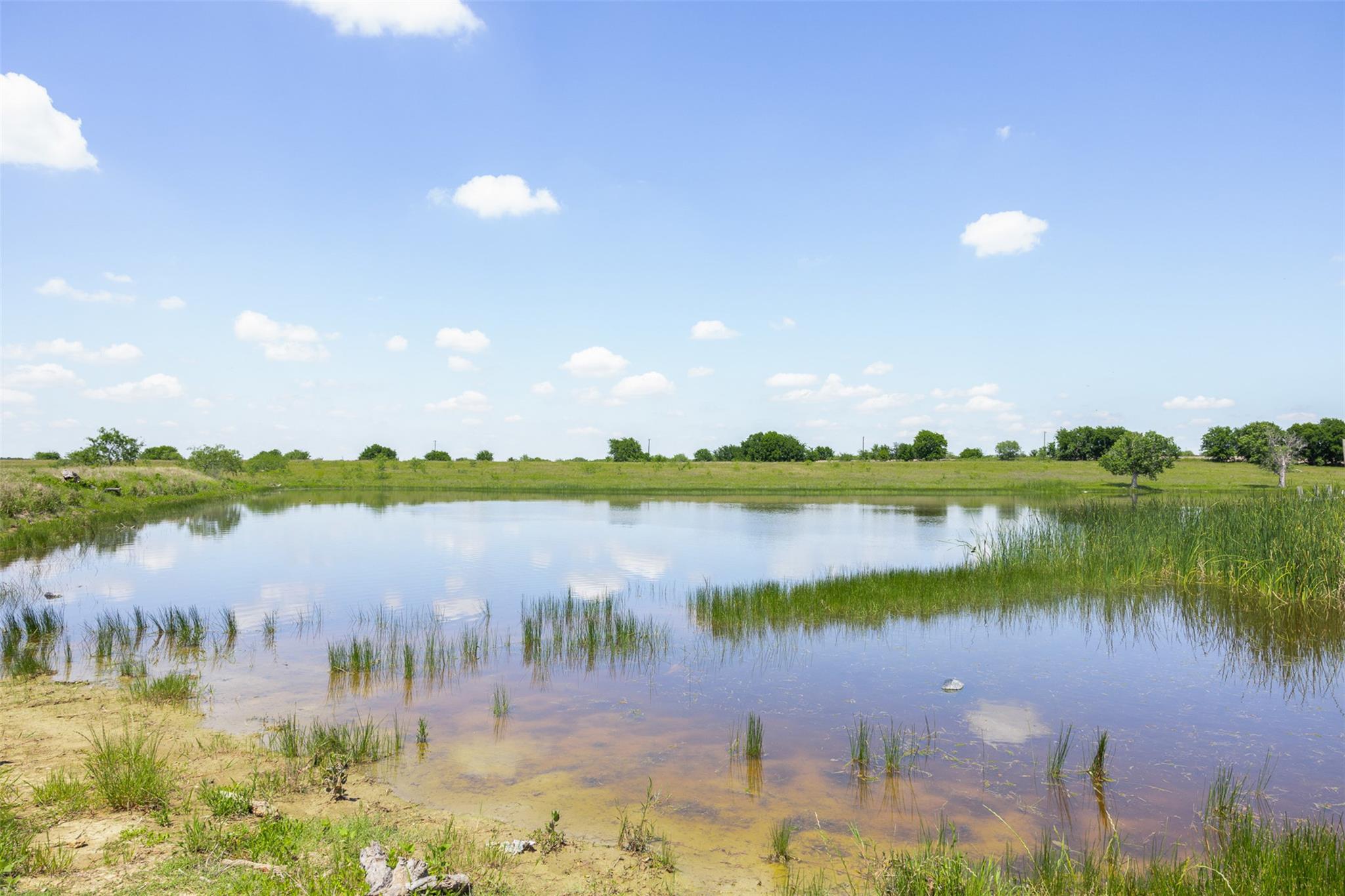 Lot 3 Highway 36 Rogers TX 76569