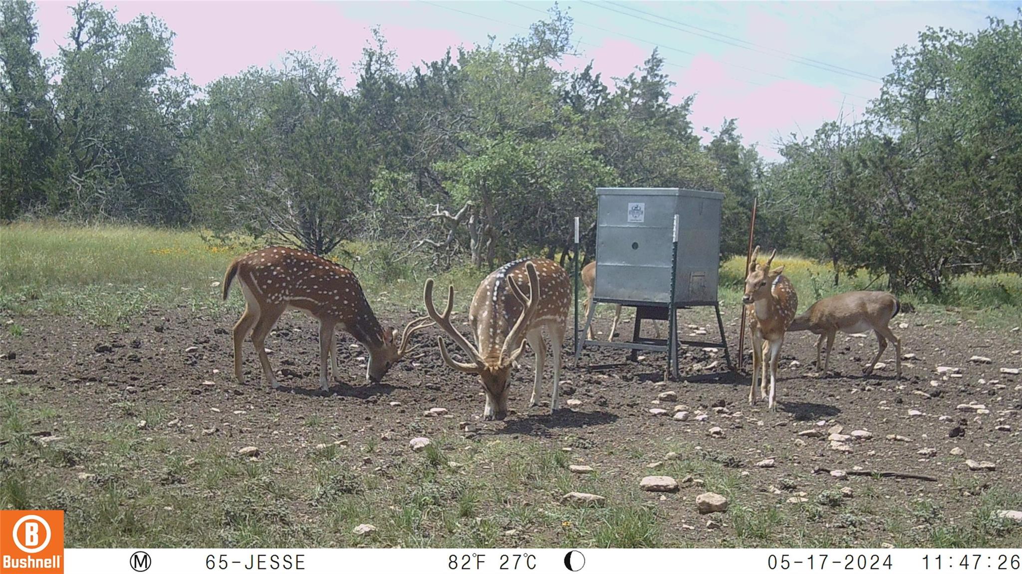 65 Miles Lane Harper TX 78631