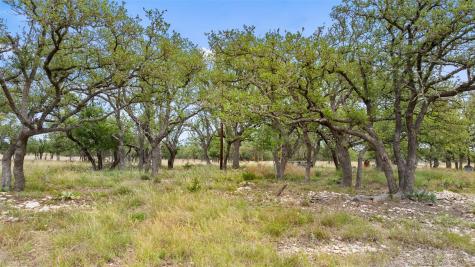 65 Miles Lane Harper TX 78631