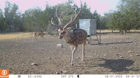 65 Miles Lane Harper TX 78631