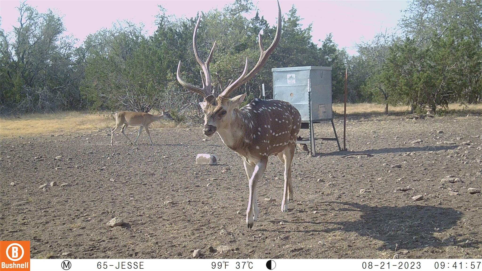 65 Miles Lane Harper TX 78631