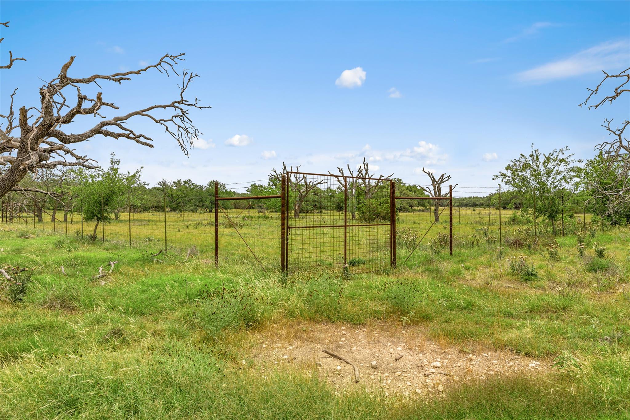 65 Miles Lane Harper TX 78631