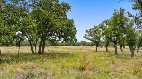 65 Miles Lane Harper TX 78631