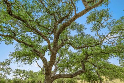 65 Miles Lane Harper TX 78631