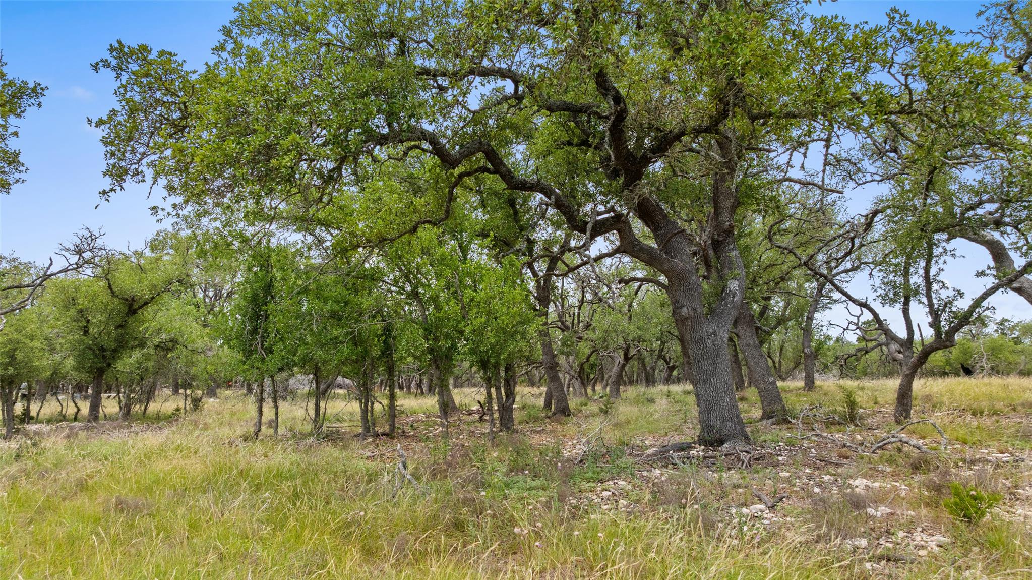 65 Miles Lane Harper TX 78631