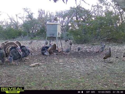 65 Miles Lane Harper TX 78631