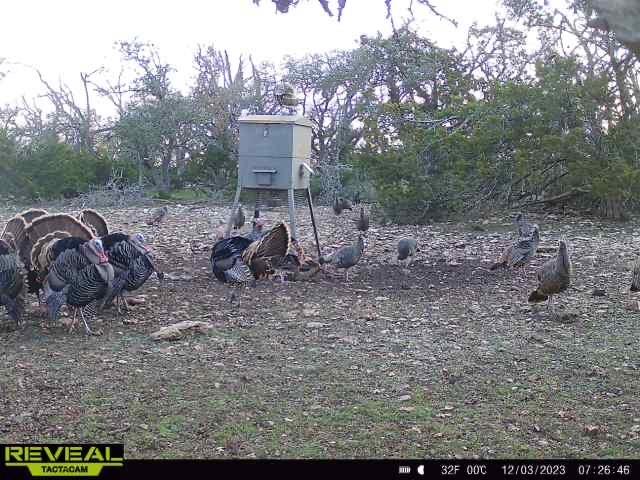 65 Miles Lane Harper TX 78631