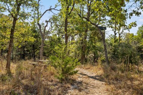 454 Leisure Lane Cedar Creek TX 78612