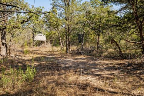 454 Leisure Lane Cedar Creek TX 78612