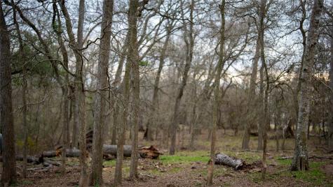 218 Brody Lane Bastrop TX 78602