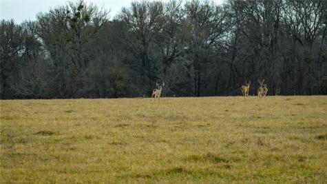 218 Brody Lane Bastrop TX 78602