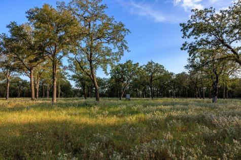 10030 E. Us Highway 290 Fredericksburg TX 78624