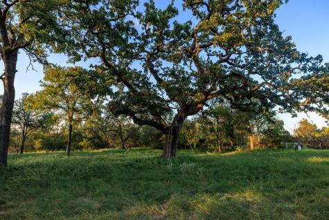 10030 E. Us Highway 290 Fredericksburg TX 78624