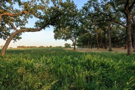 10030 E. Us Highway 290 Fredericksburg TX 78624