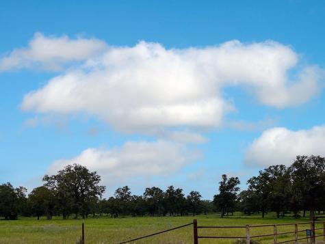 2231 Greens Creek Road Ledbetter TX 78946
