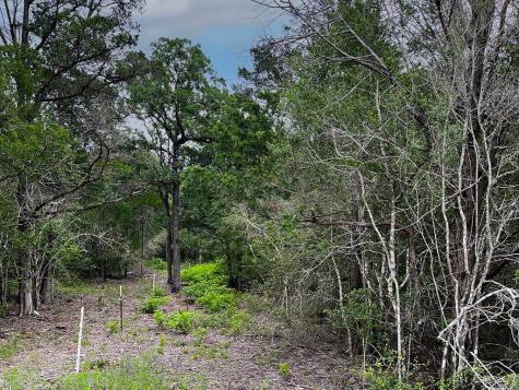 2231 Greens Creek Road Ledbetter TX 78946