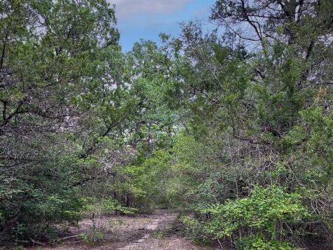 2231 Greens Creek Road Ledbetter TX 78946