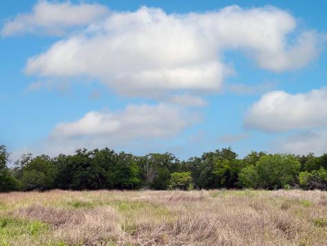 2231 Greens Creek Road Ledbetter TX 78946