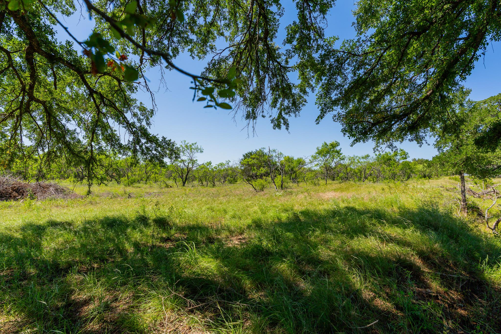 Tbd County Road 180 Rolling Pond Ranch Road Purmela TX 76566