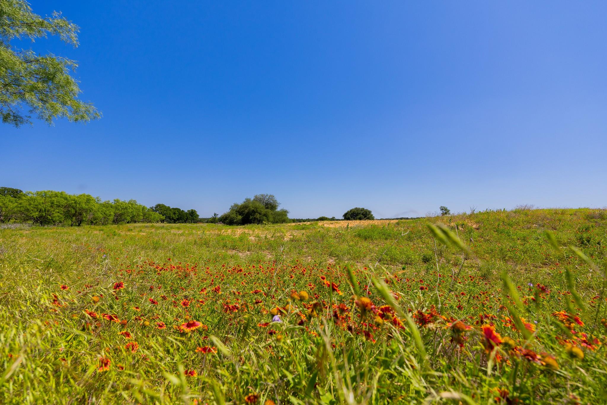 Tbd County Road 180 Rolling Pond Ranch Road Purmela TX 76566