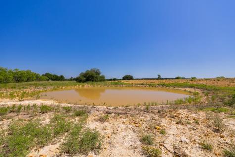 Tbd County Road 180 Rolling Pond Ranch Road Purmela TX 76566