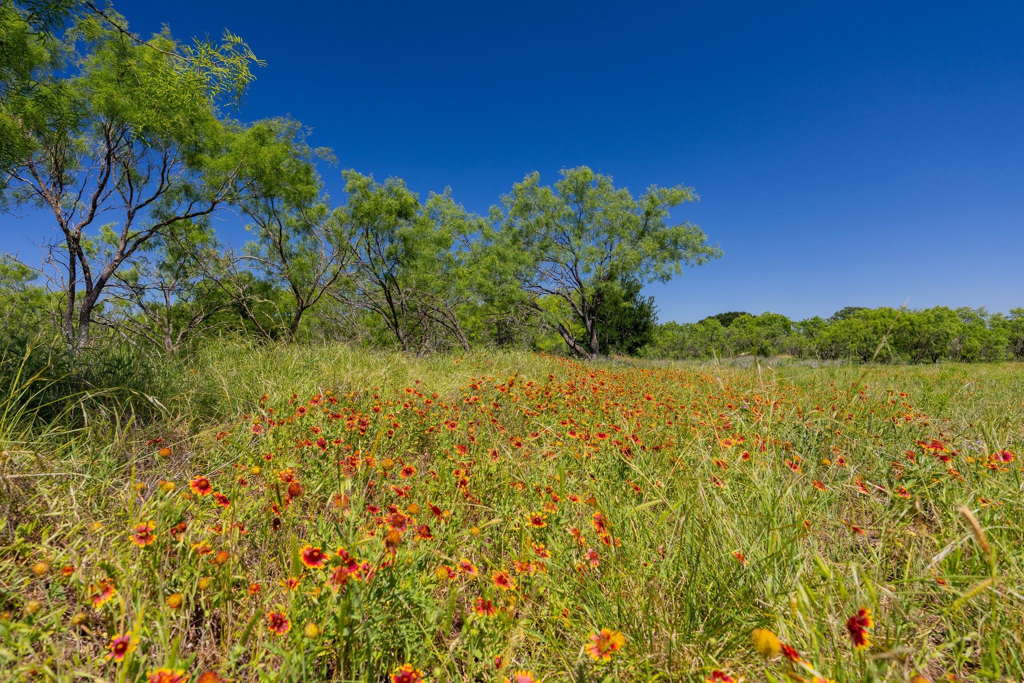 Tbd County Road 180 Rolling Pond Ranch Road Purmela TX 76566