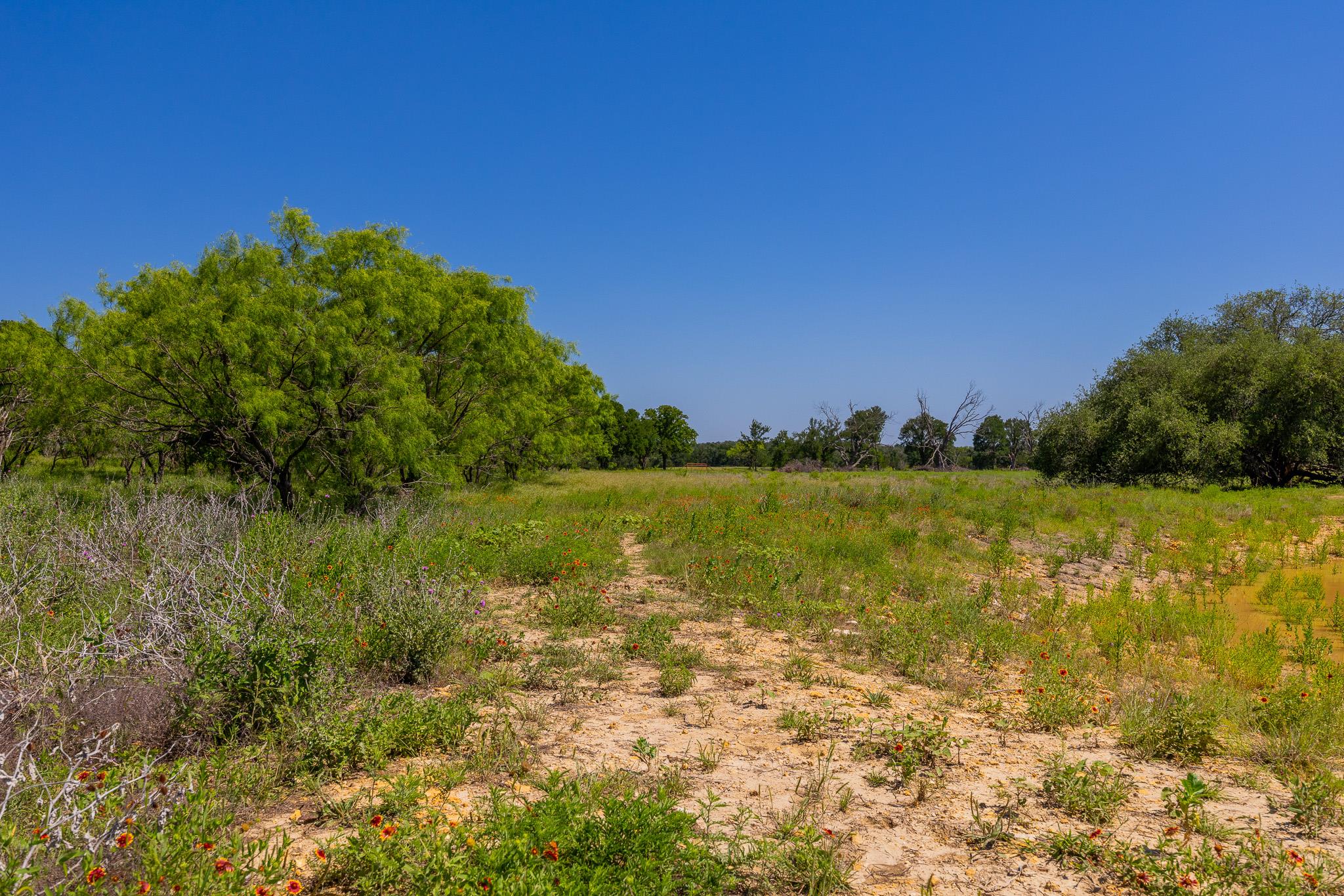 Tbd County Road 180 Rolling Pond Ranch Road Purmela TX 76566
