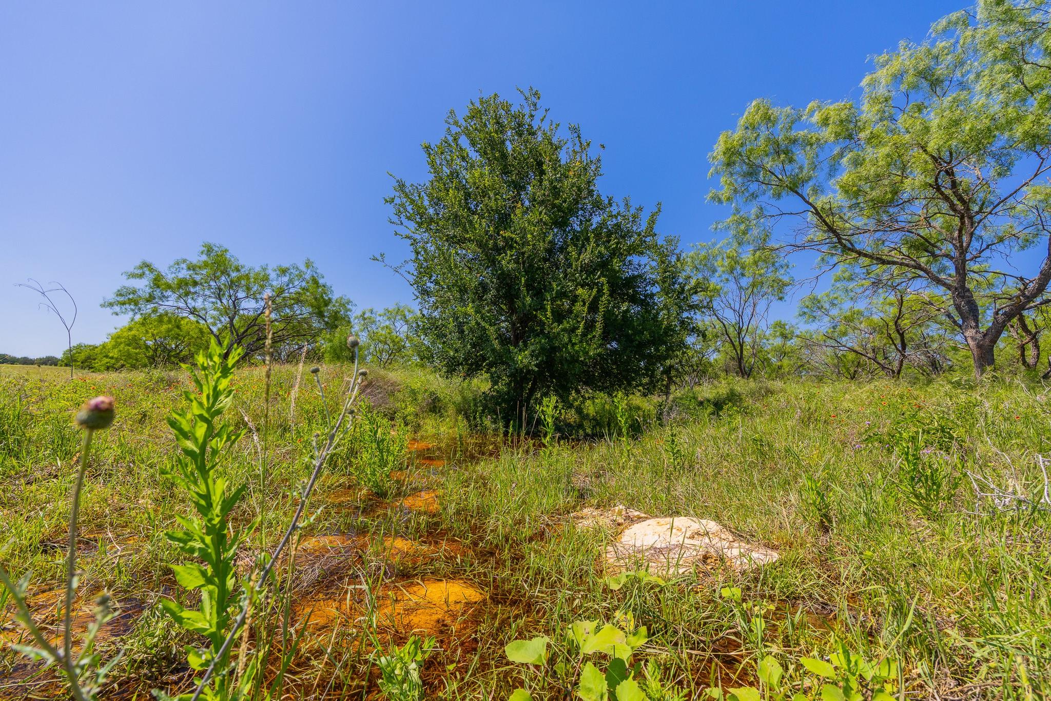Tbd County Road 180 Rolling Pond Ranch Road Purmela TX 76566