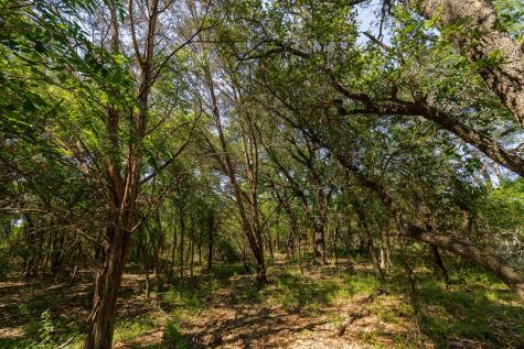 Tbd County Road 180 Rolling Pond Ranch Road Purmela TX 76566