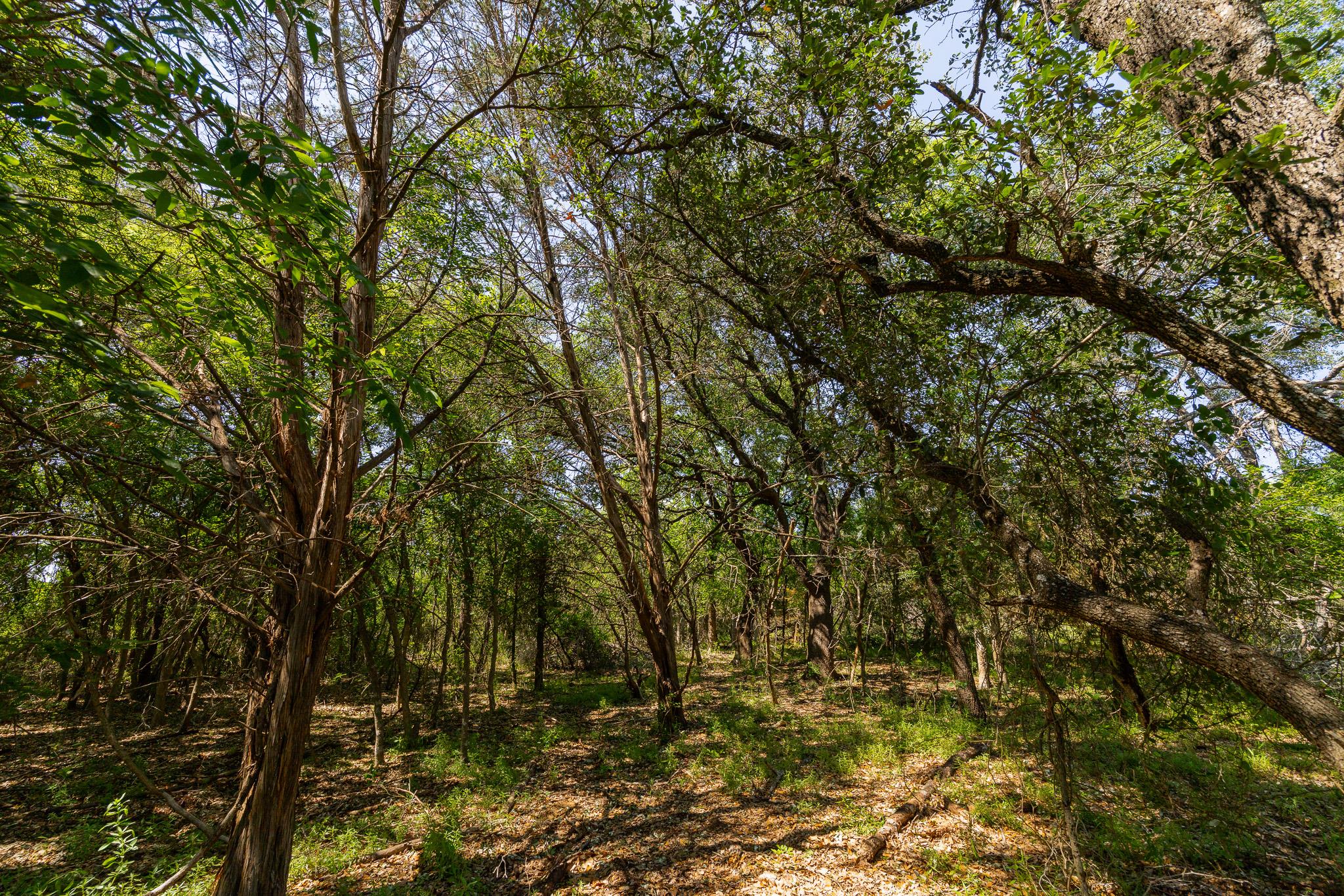 Tbd County Road 180 Rolling Pond Ranch Road Purmela TX 76566