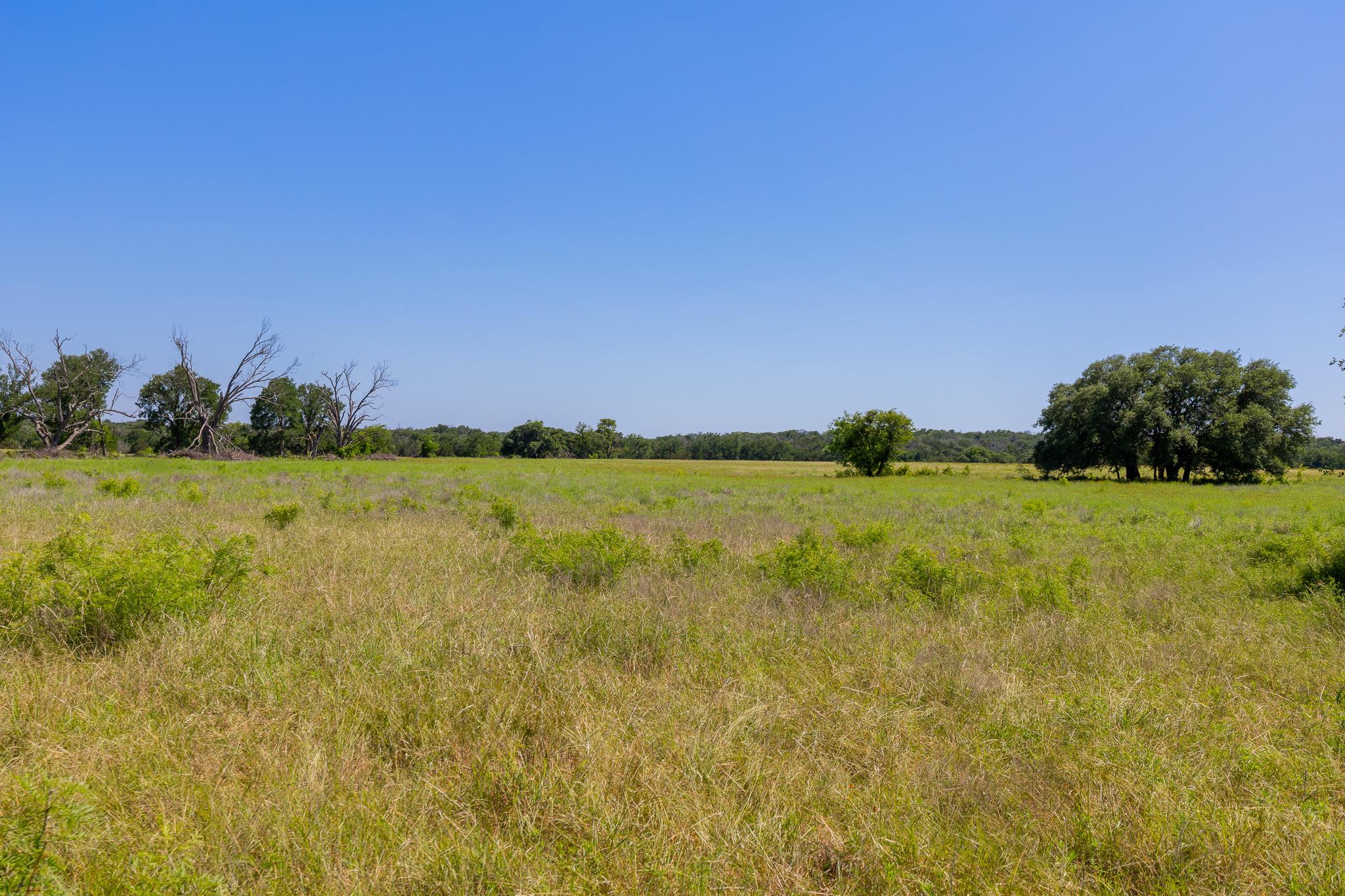 Tbd County Road 180 Rolling Pond Ranch Road Purmela TX 76566