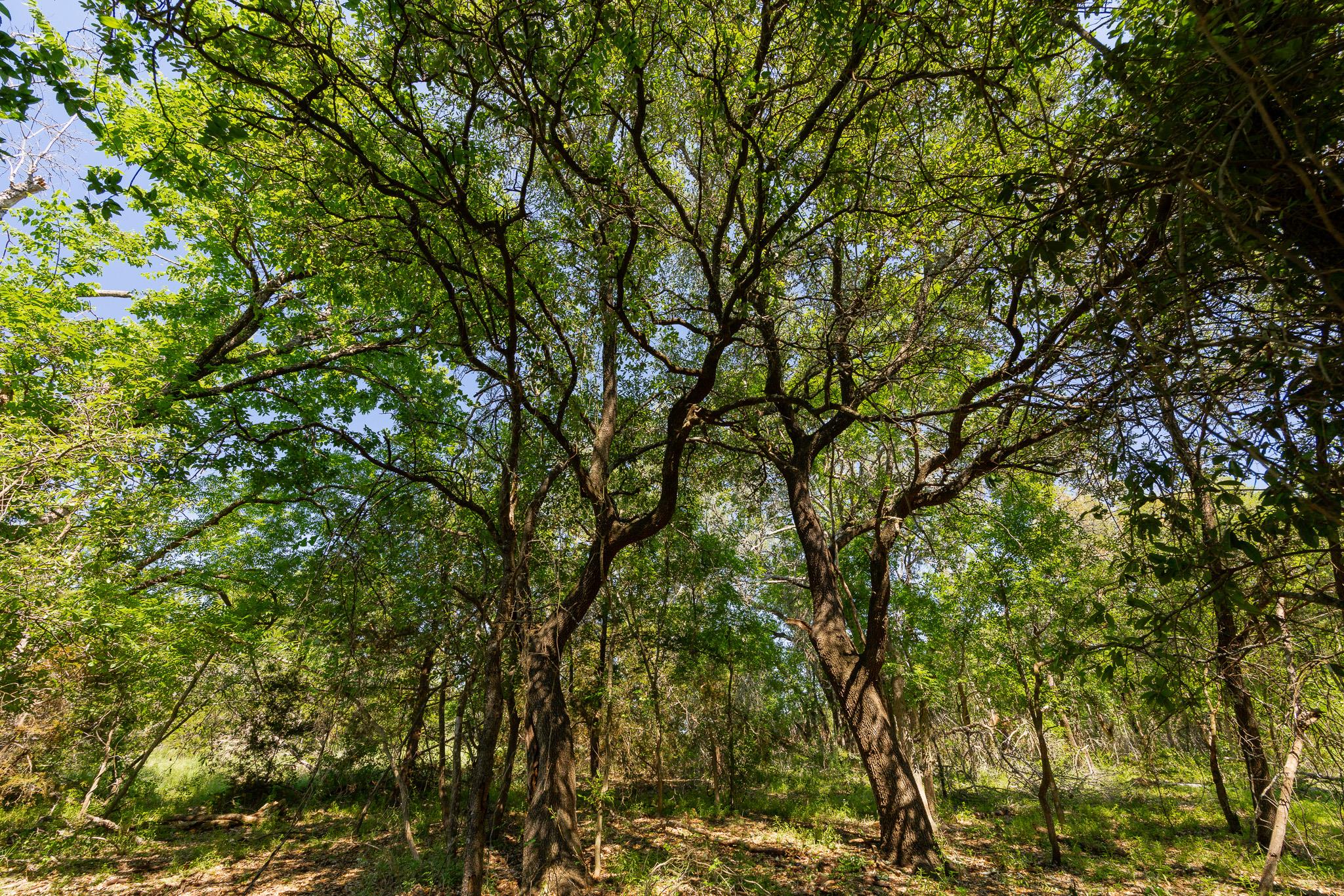 Tbd County Road 180 Rolling Pond Ranch Road Purmela TX 76566