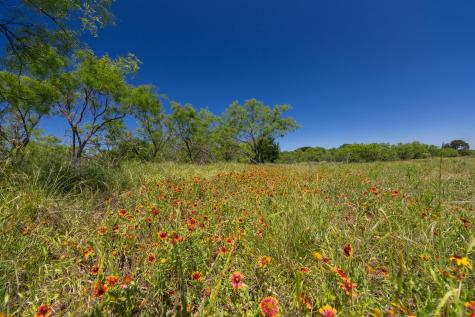 Tbd County Road 180 Rolling Pond Ranch Road Purmela TX 76566