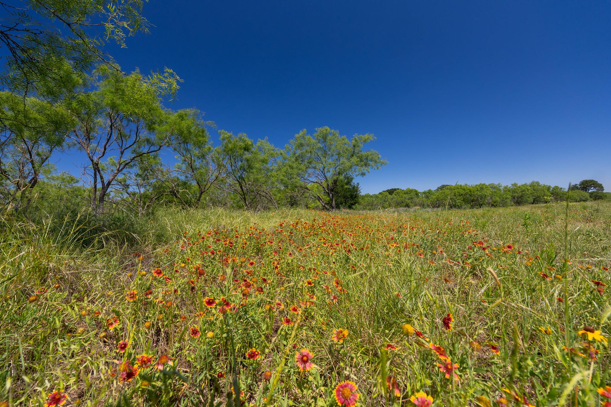 Tbd County Road 180 Rolling Pond Ranch Road Purmela TX 76566