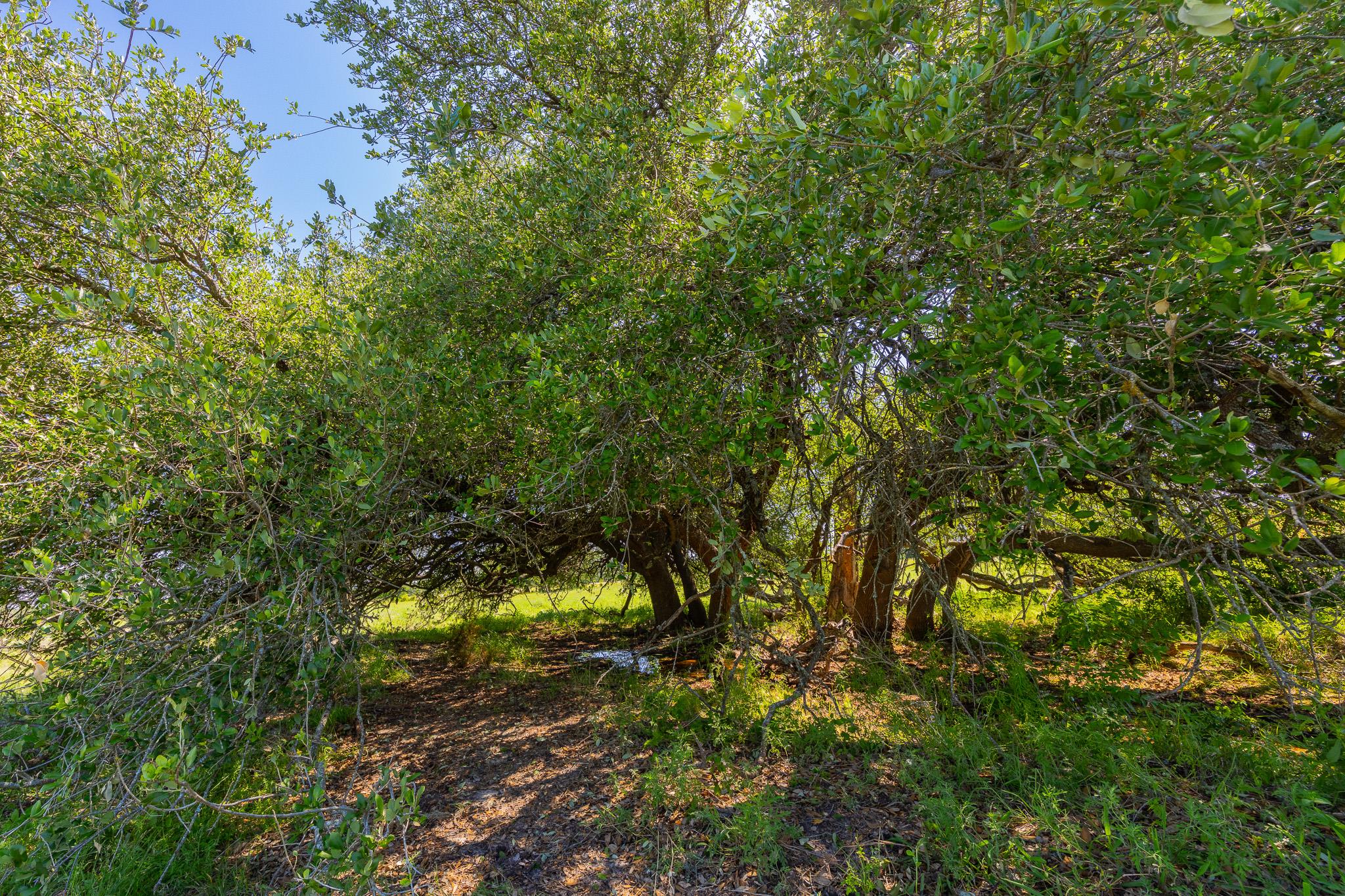 Tbd County Road 180 Rolling Pond Ranch Road Purmela TX 76566