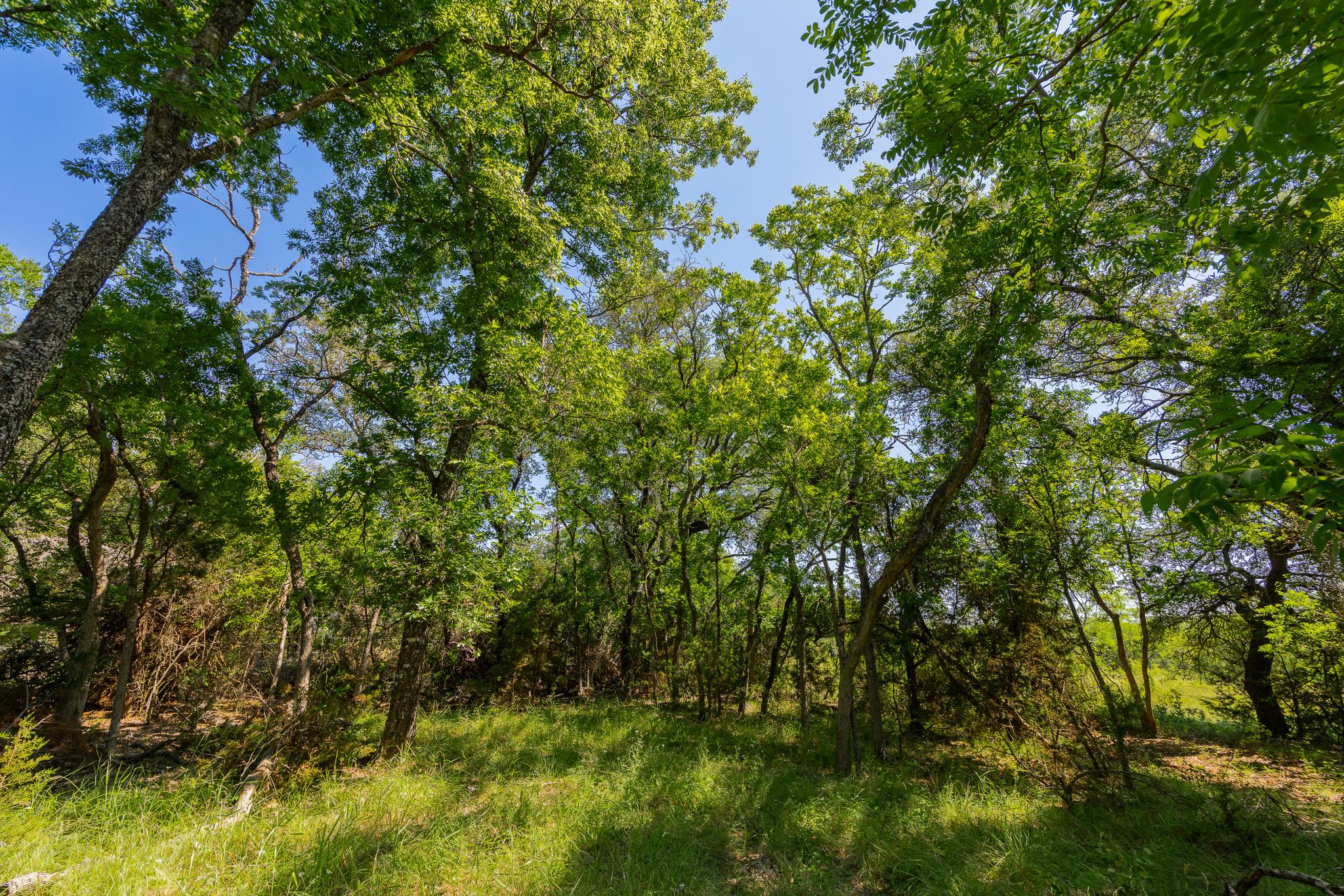 Tbd County Road 180 Rolling Pond Ranch Road Purmela TX 76566