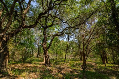 Tbd County Road 180 Rolling Pond Ranch Road Purmela TX 76566