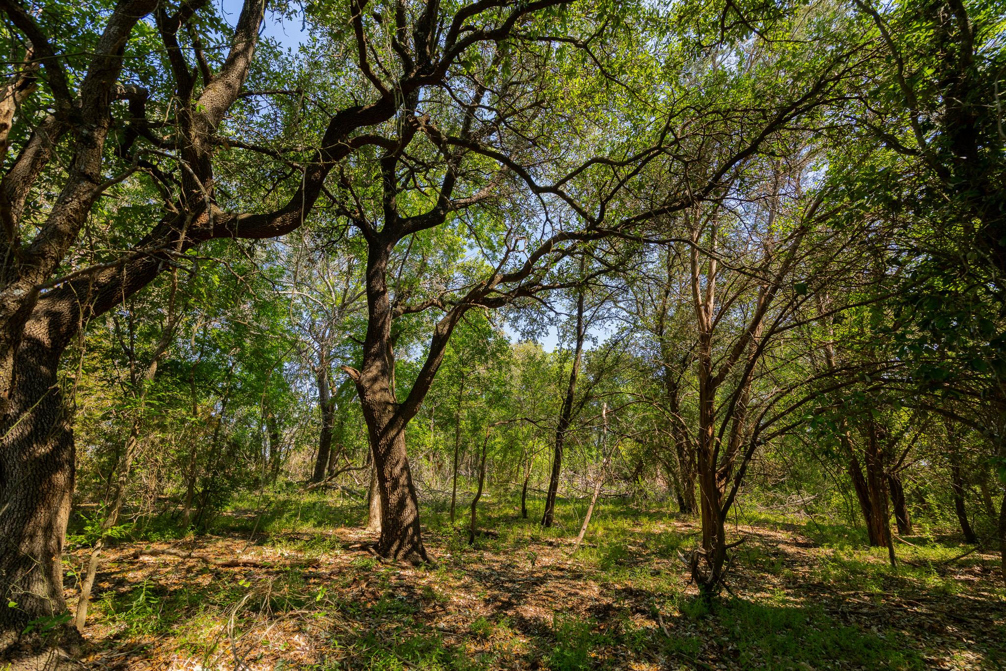 Tbd County Road 180 Rolling Pond Ranch Road Purmela TX 76566