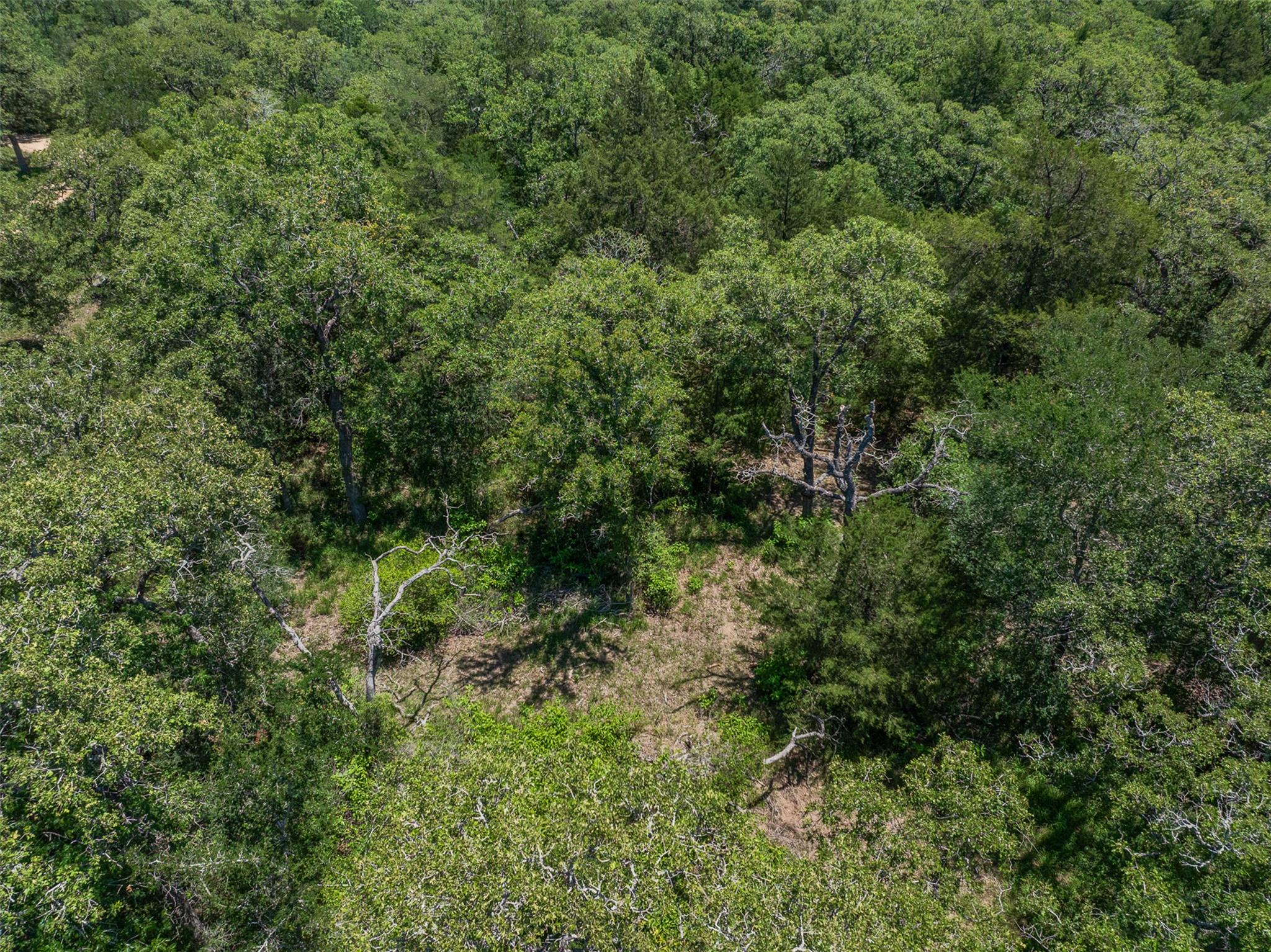 000 Clay Lane Brenham TX 77833