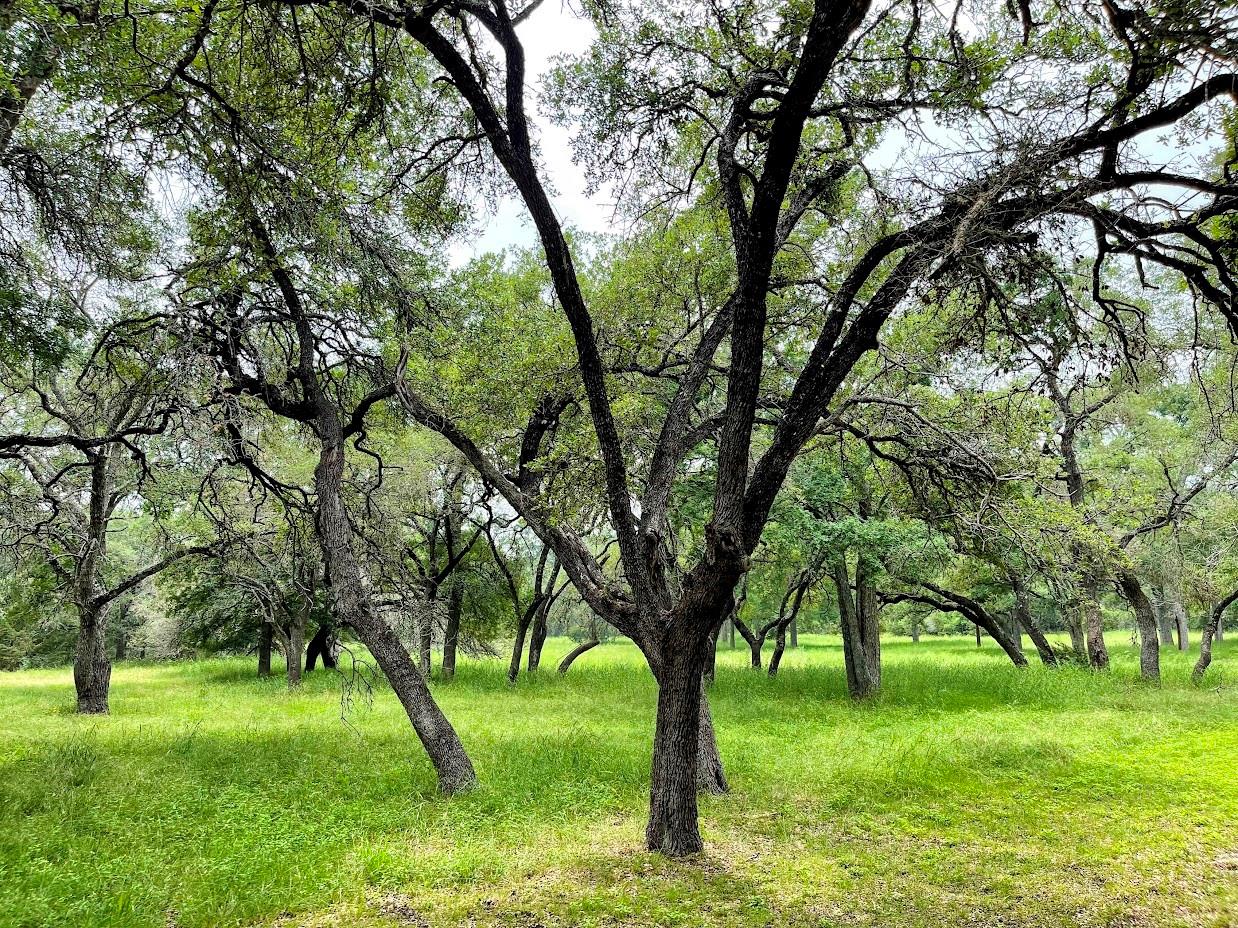 Tbd Ranch Road 12 Dripping Springs TX 78620
