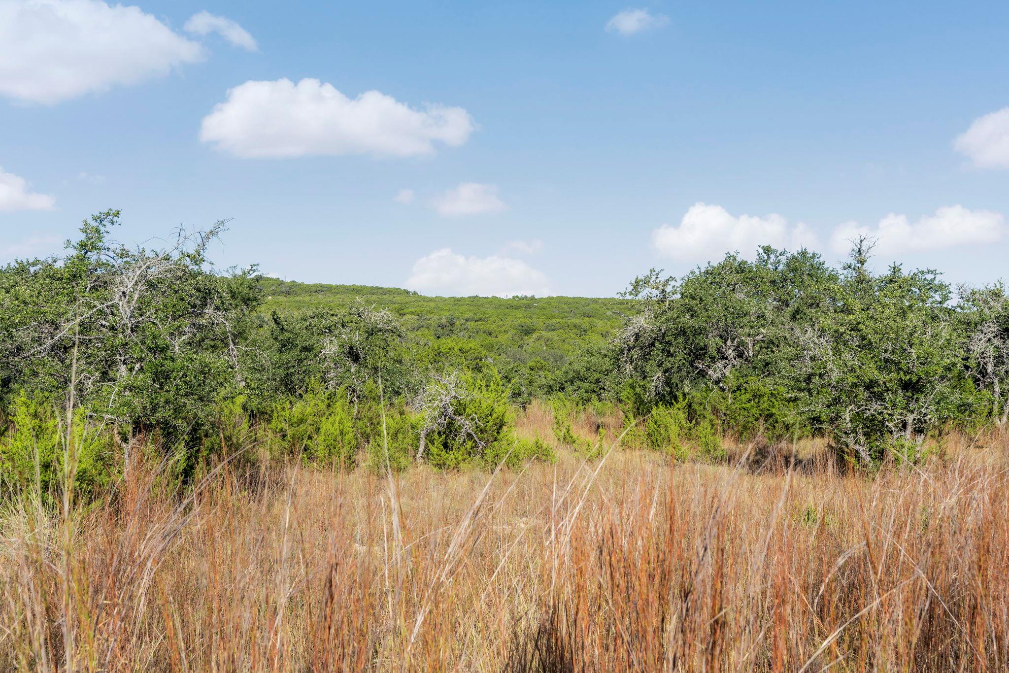2021 Stagecoach Ranch Road Dripping Springs TX 78620