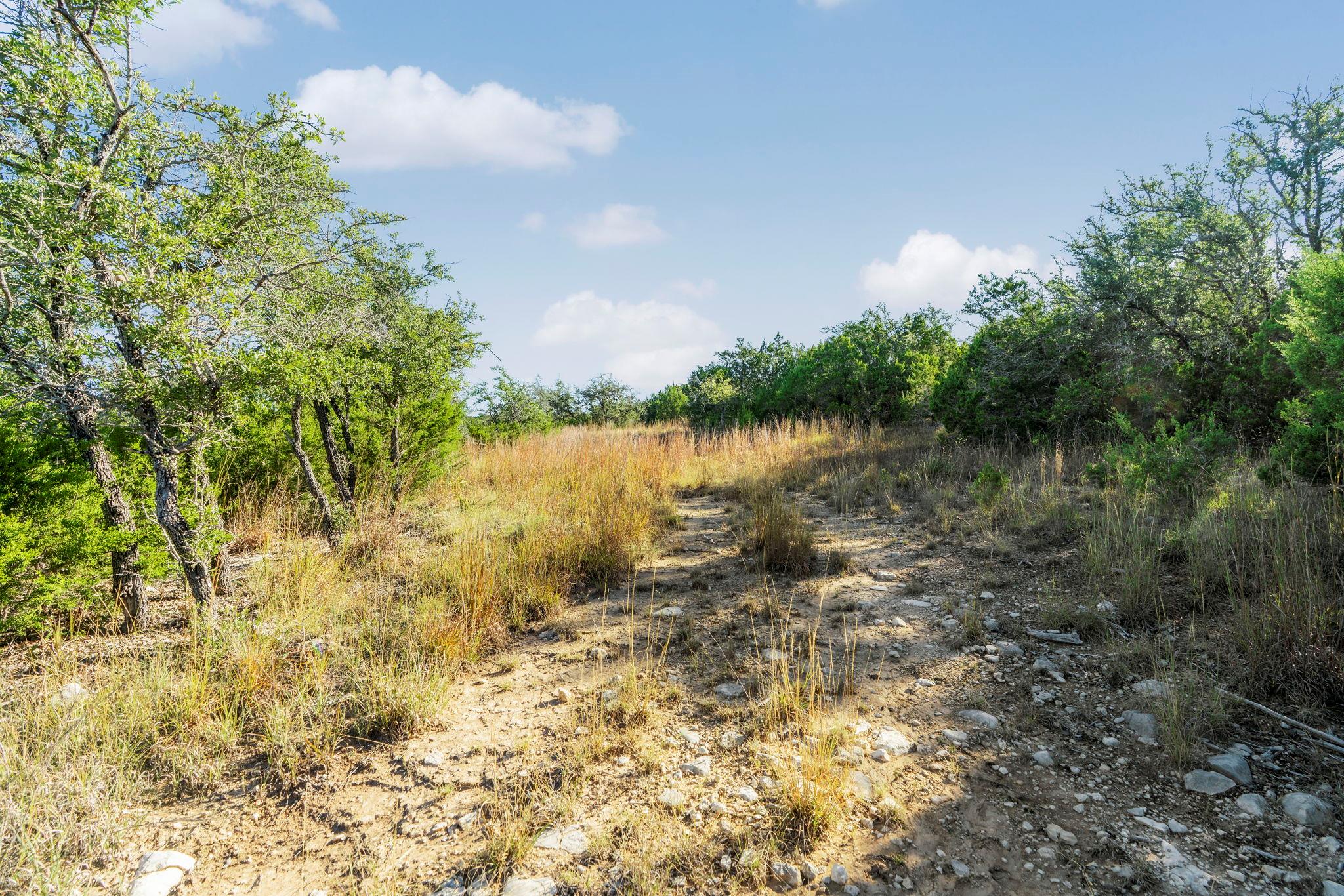 2021 Stagecoach Ranch Road Dripping Springs TX 78620