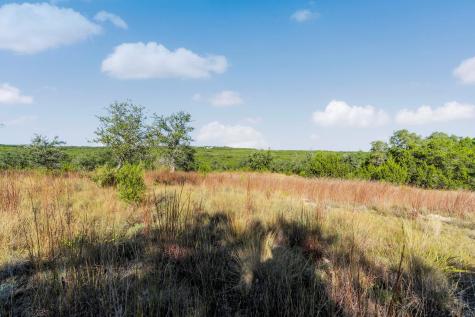 2021 Stagecoach Ranch Road Dripping Springs TX 78620