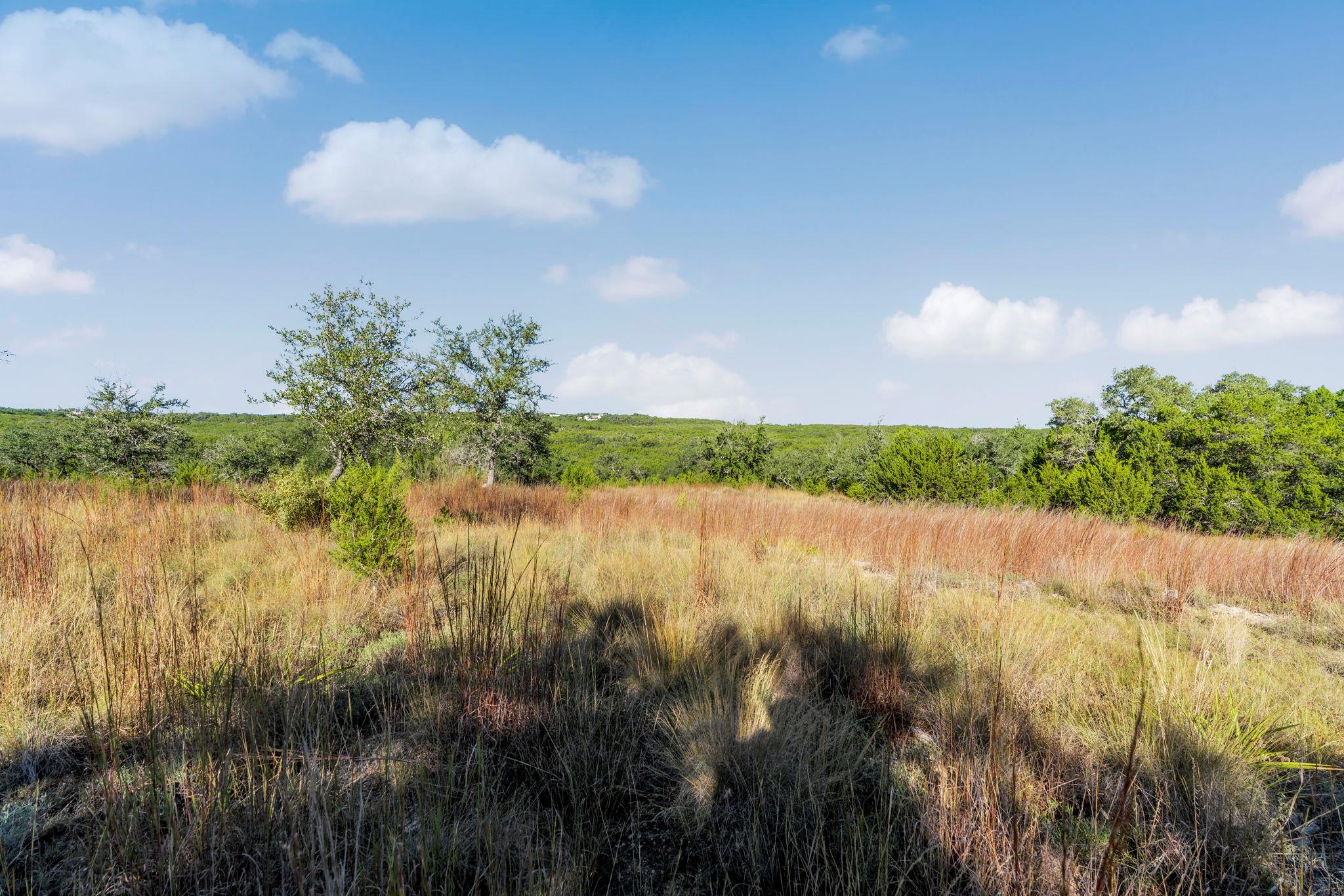 2021 Stagecoach Ranch Road Dripping Springs TX 78620